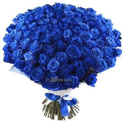 1723 Amo Rosa Azul 100 Rosas 