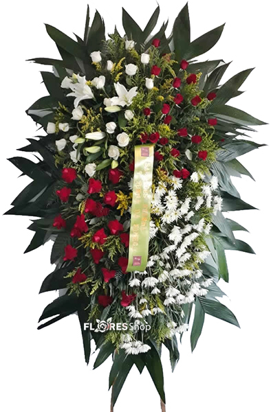 Sexo amador negra brasil Tipos de coroas de flores para velorio