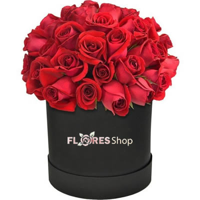 2393 Flowers Box Vermelhas | Premium