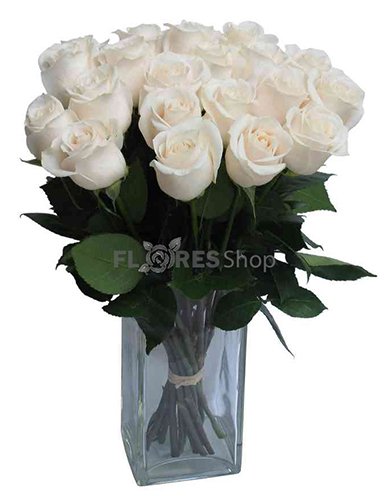 387 Buquê Rosas Brancas no Vaso