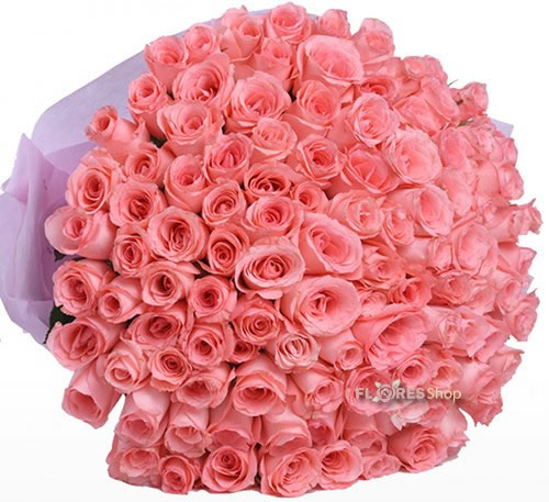 626 100 Rosas cor de Rosas | Reserve com antecedência