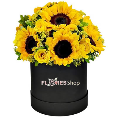 Girassol e Rosas - Flowers Box Premium