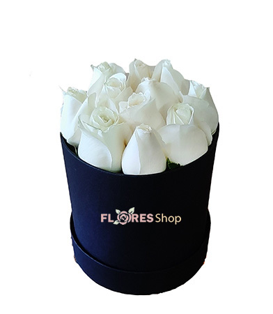 Flower box white