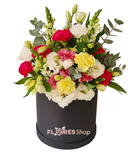 Box de flores