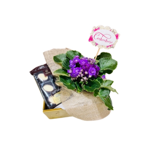 PENDENTEVioleta e Cacau Show
