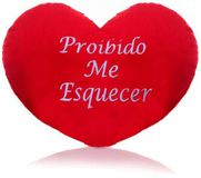 ❤ Almofada "Proibido me Esquecer" ❤ 24cm