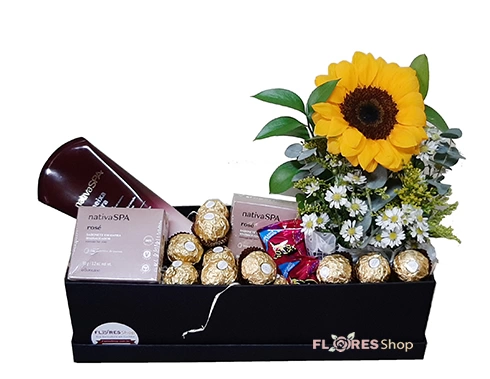 Box Girassol e Nativa Spa