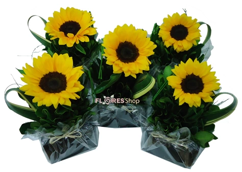 5 Centro de mesa com Girassol