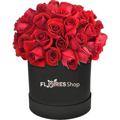 Flowers Box Vermelhas | Premium